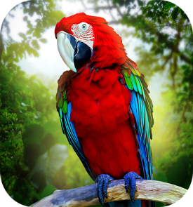 Скачать Jungle Parrot Simulator - try wild bird survival! Android: игры